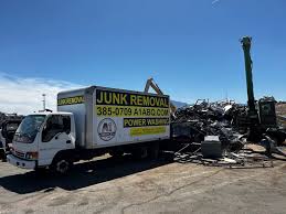 Best Same-Day Junk Removal Services  in North Alamo, TX