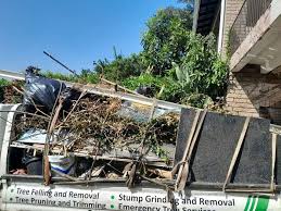 Best Office Cleanout  in North Alamo, TX