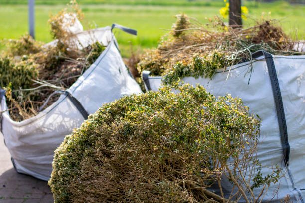 Best Electronics and E-Waste Disposal  in North Alamo, TX